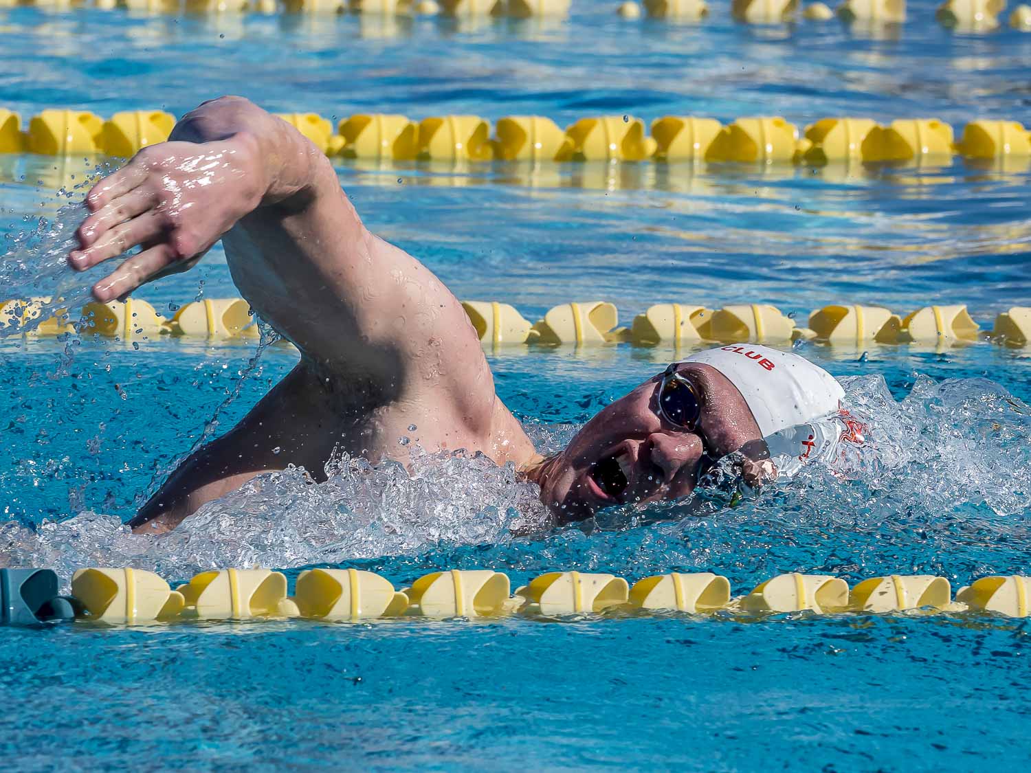 usms swimming nationals 2023
